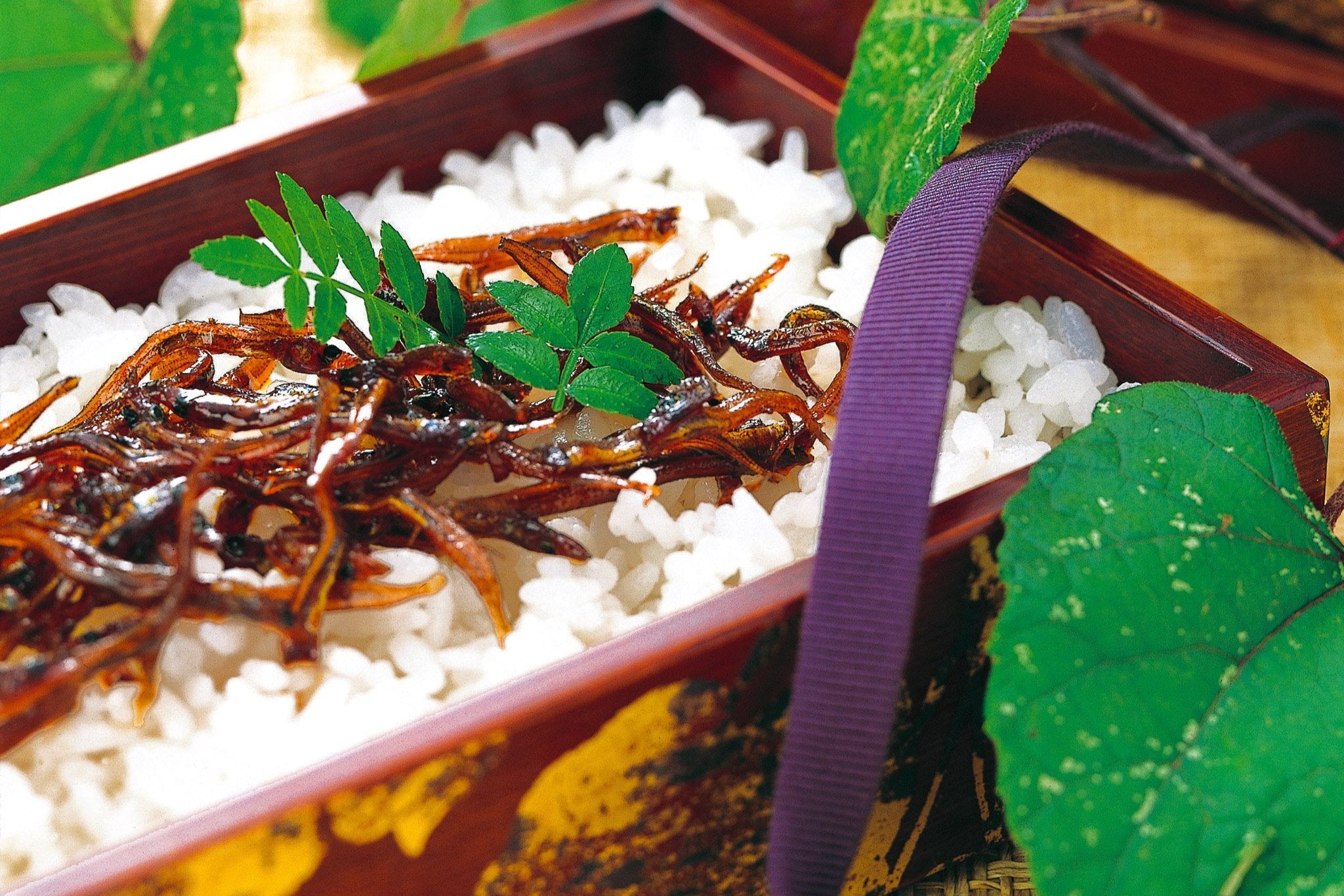 いかなごくぎ煮